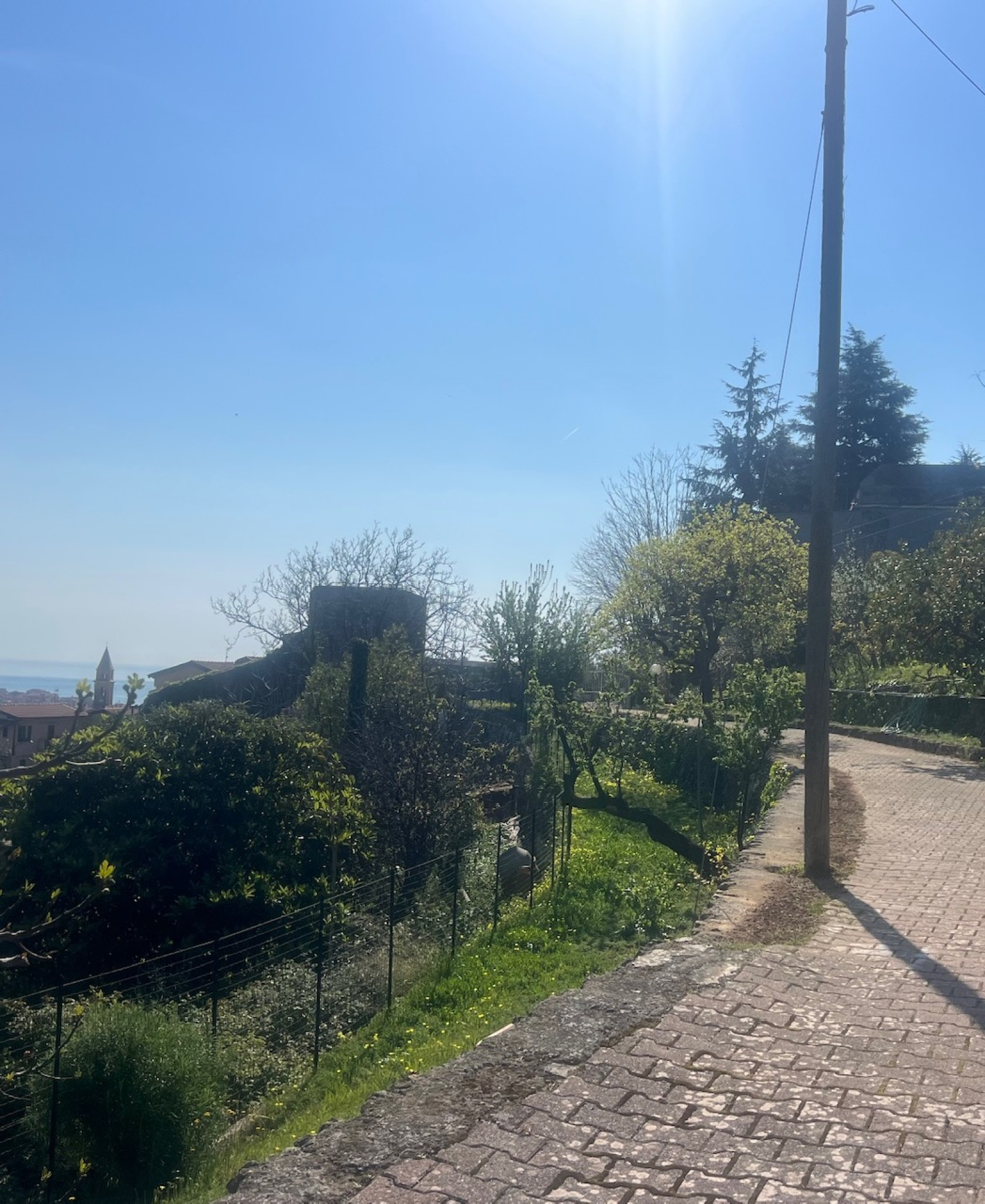 Image_, Villa, Ventimiglia, ref :739