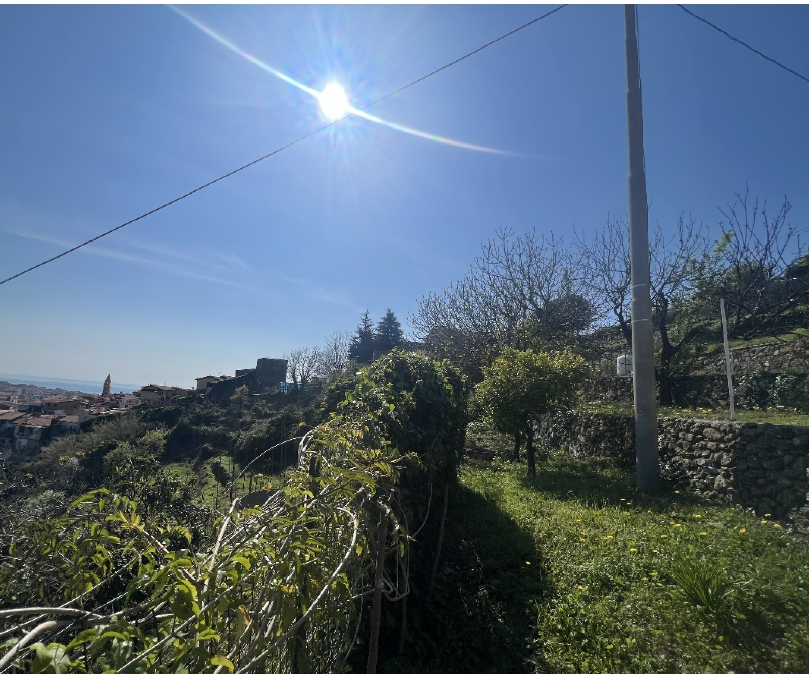 Image_, Villa, Ventimiglia, ref :739