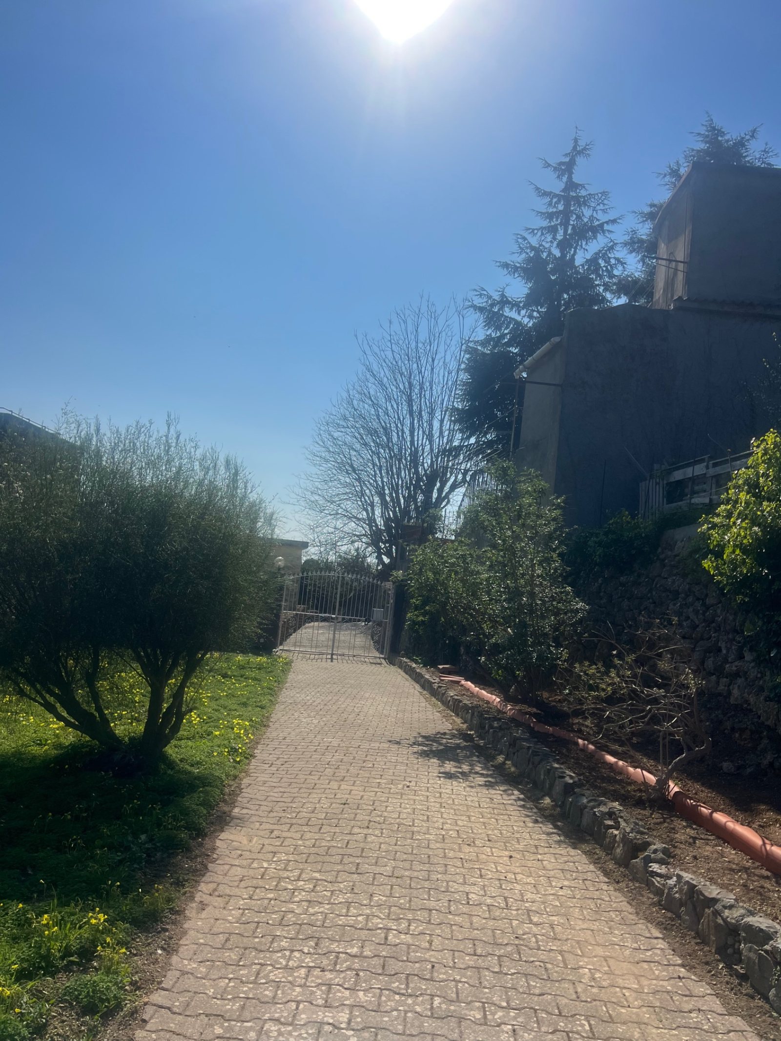 Image_, Villa, Ventimiglia, ref :739