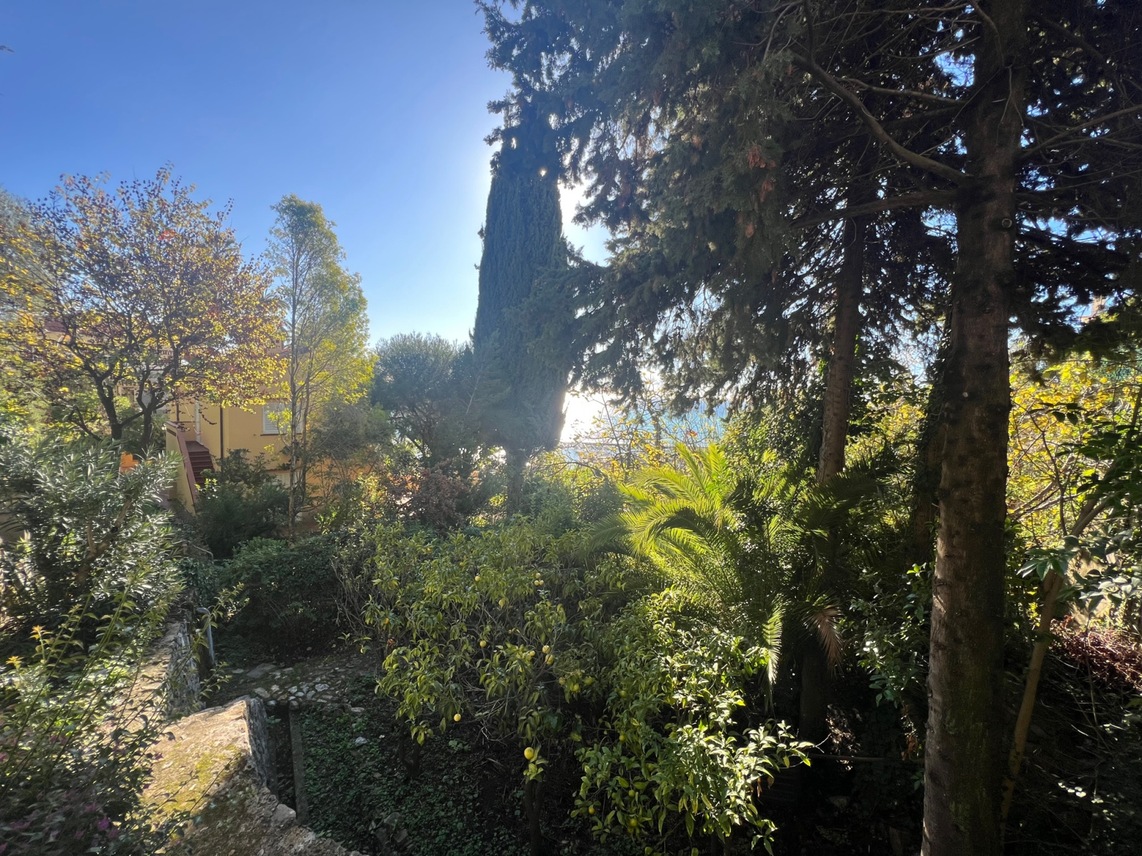 Image_, Villa, Menton, ref :716