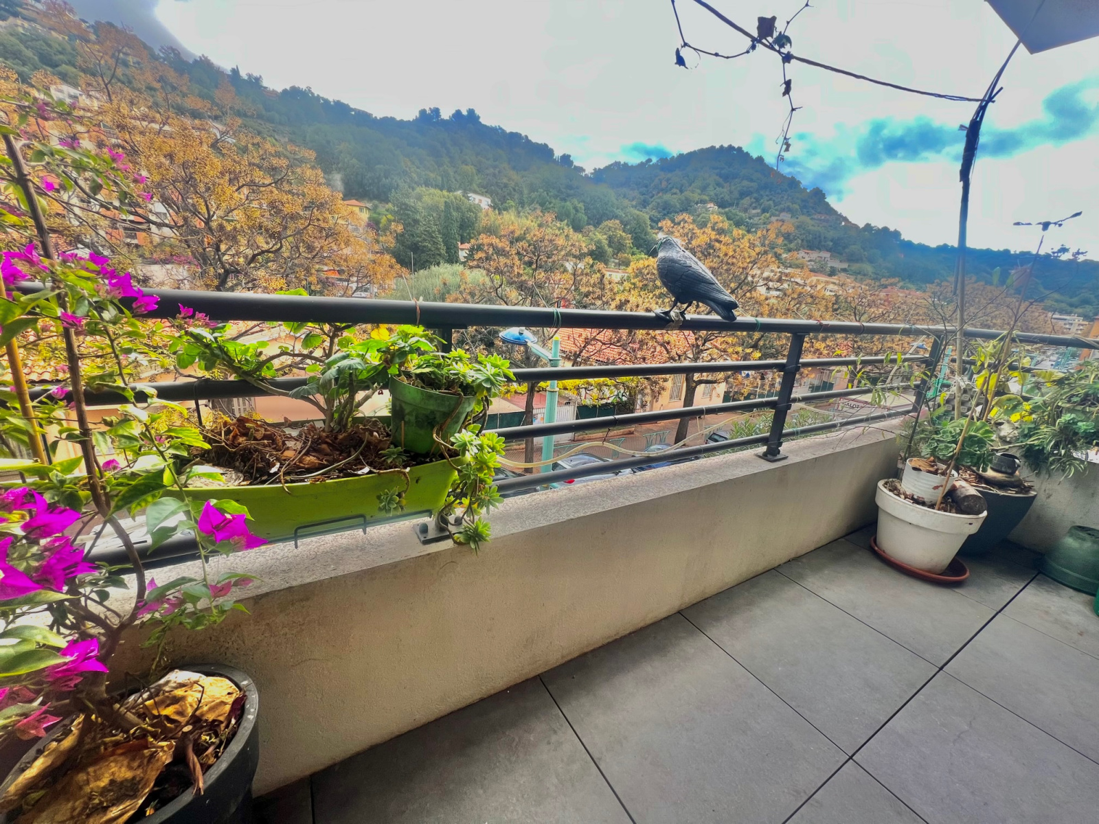 Image_, Appartement, Menton, ref :734