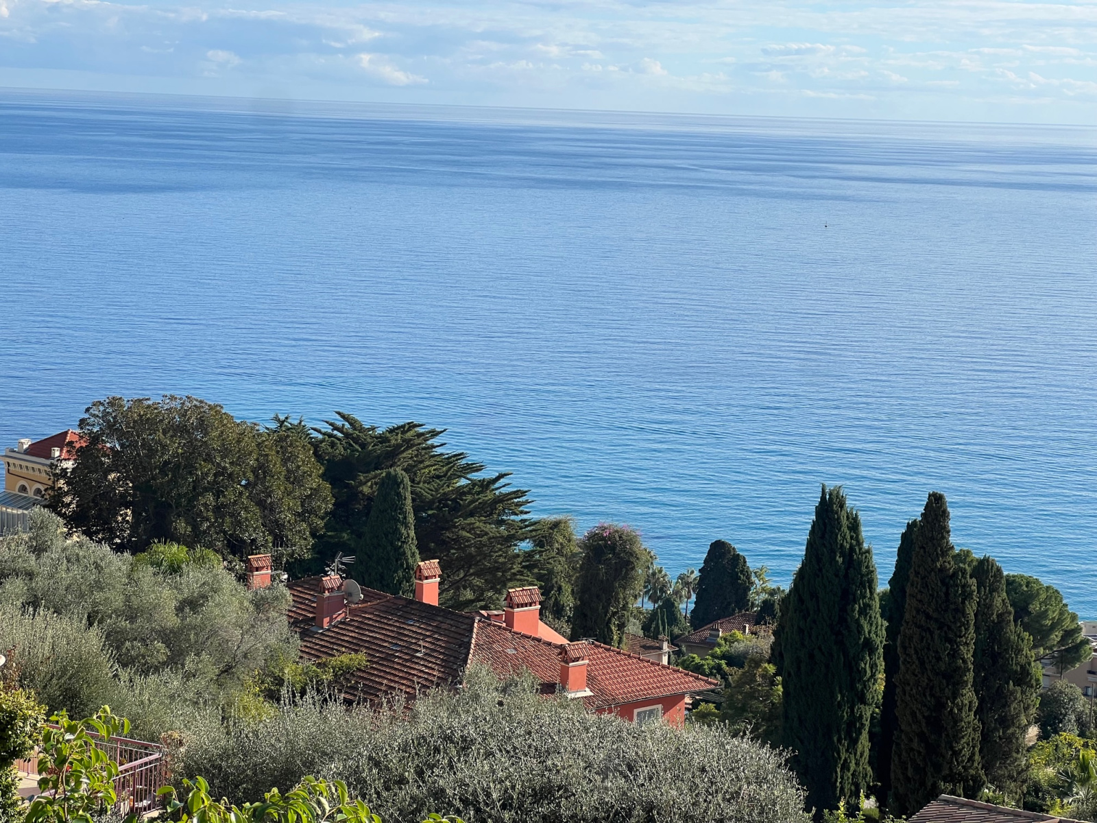 Image_, Villa, Menton, ref :729