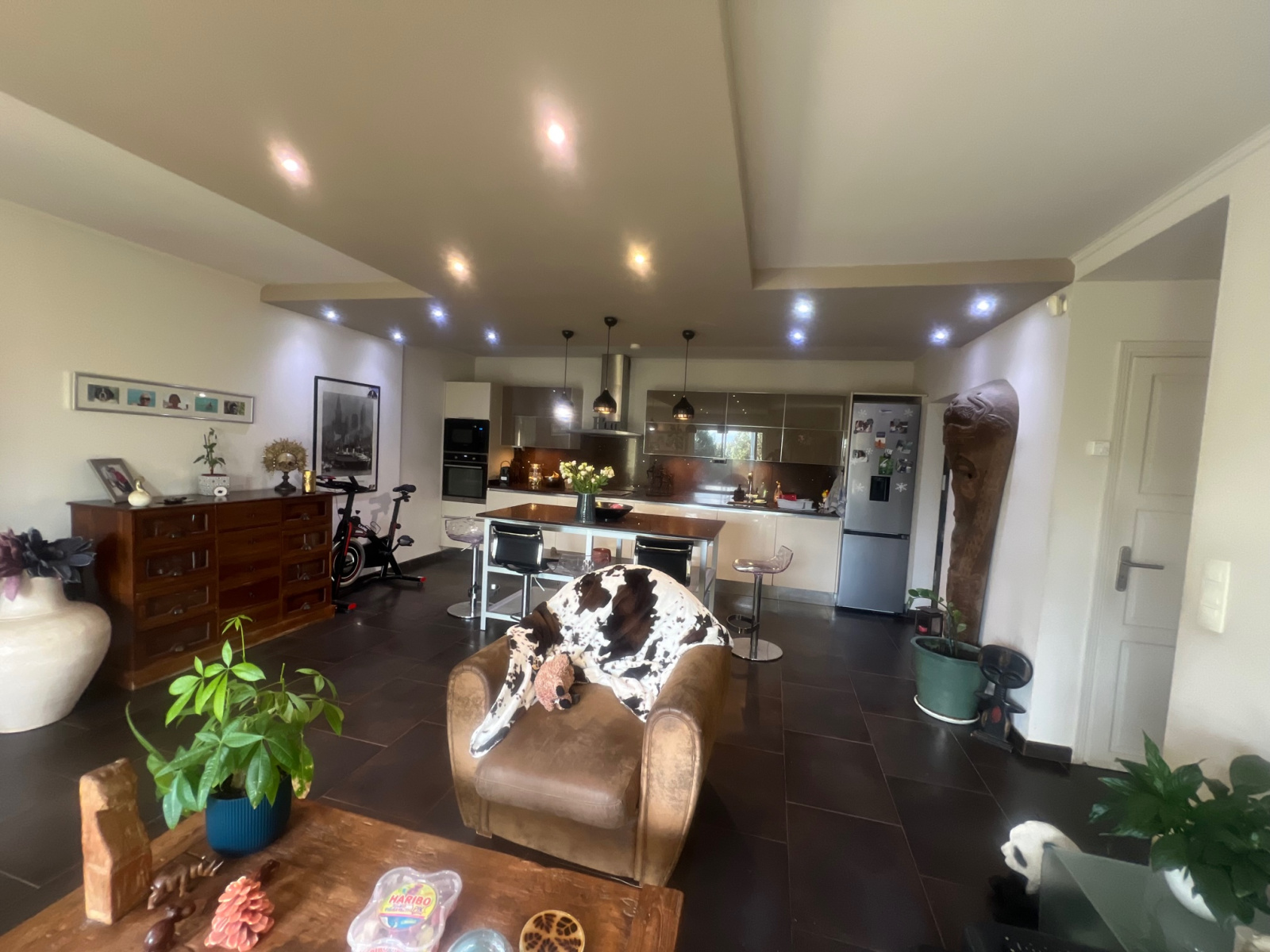 Image_, Villa, Roquebrune-Cap-Martin, ref :722