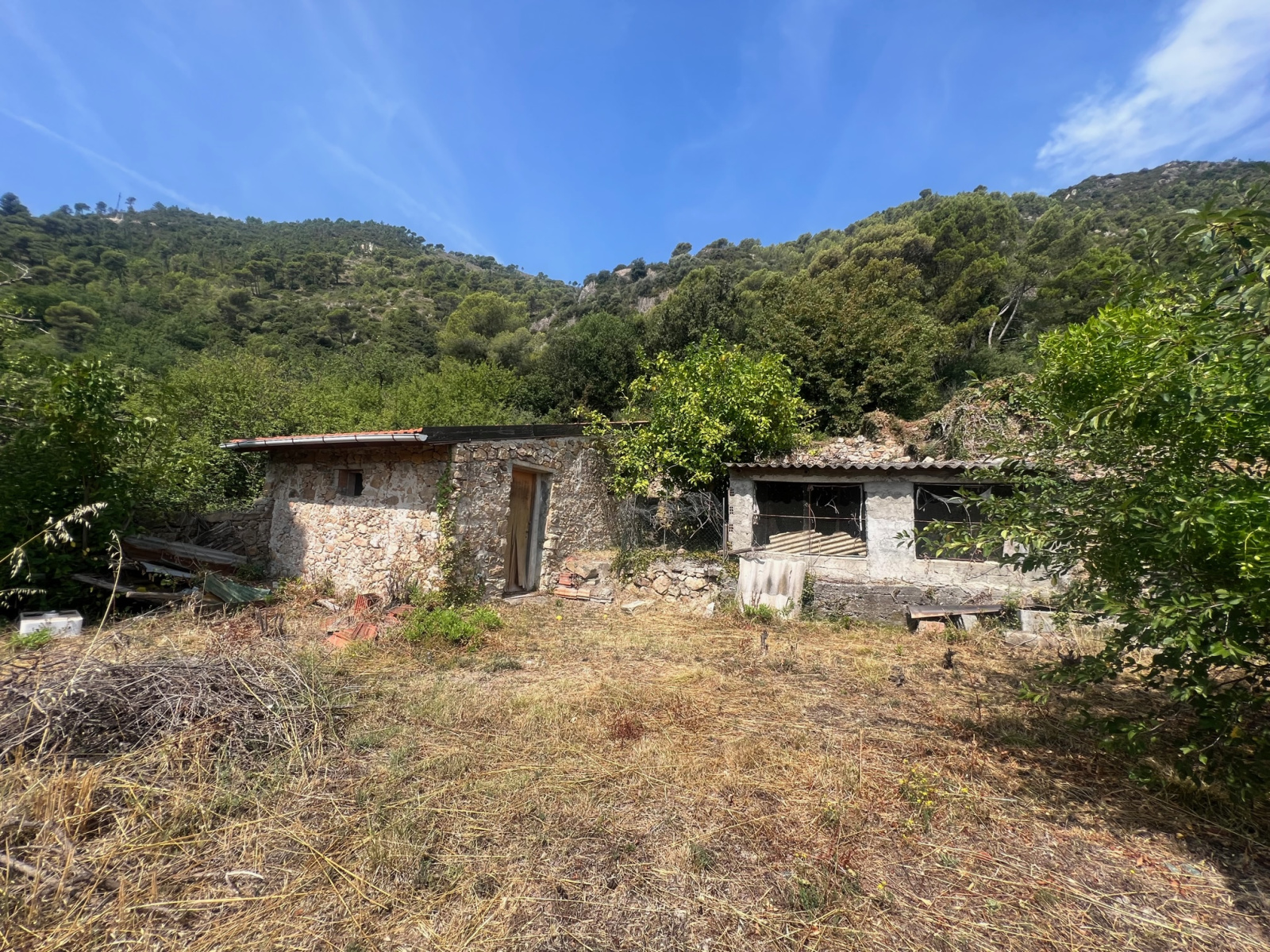 Image_, Villa, Ventimiglia, ref :747