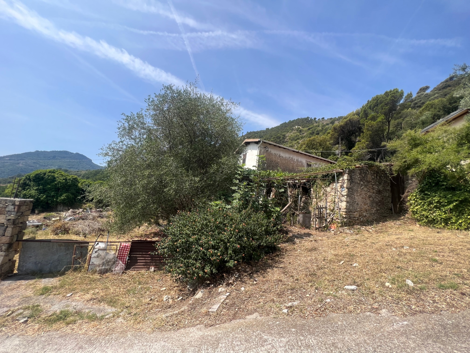 Image_, Villa, Ventimiglia, ref :747