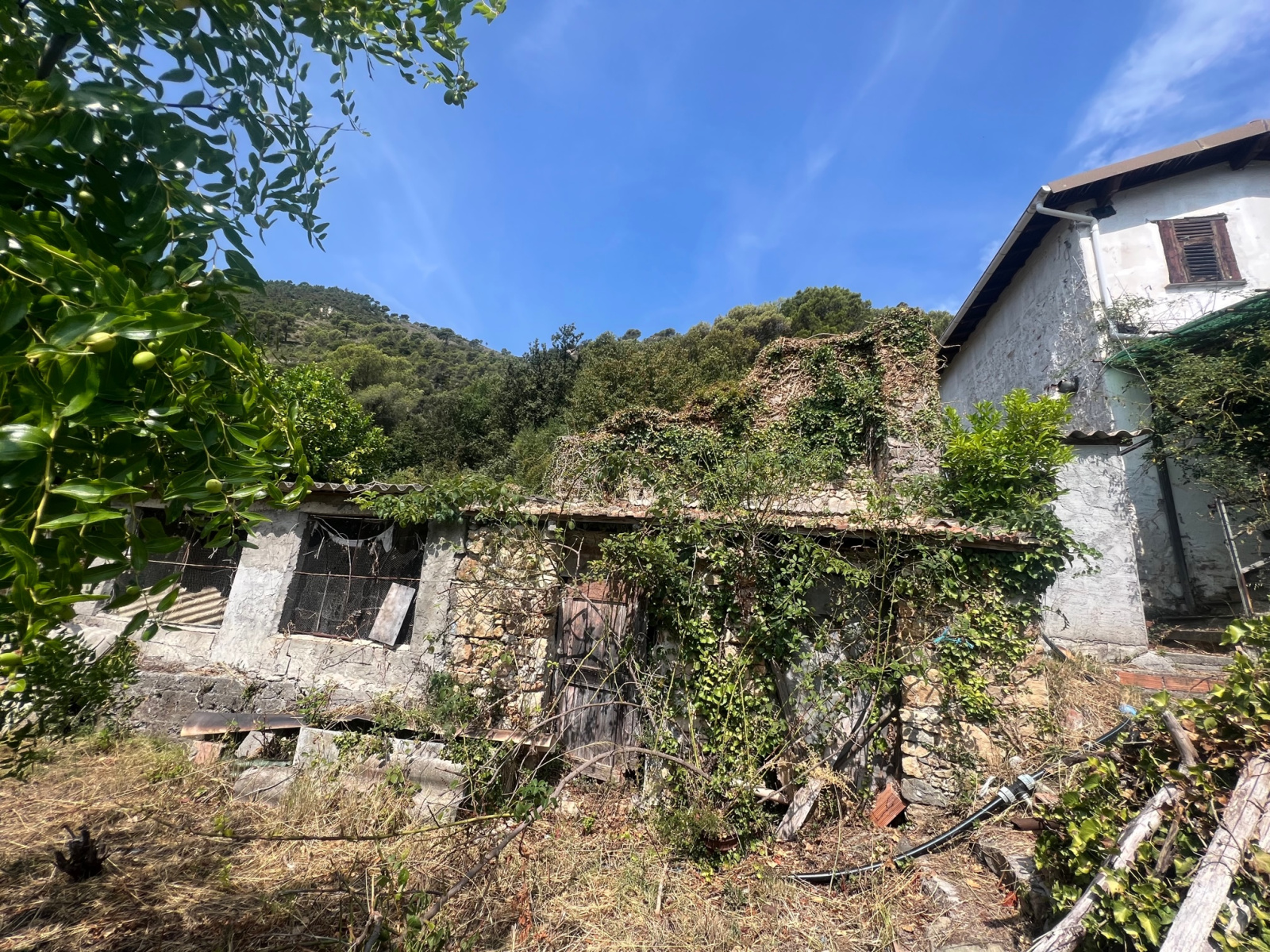 Image_, Villa, Ventimiglia, ref :747