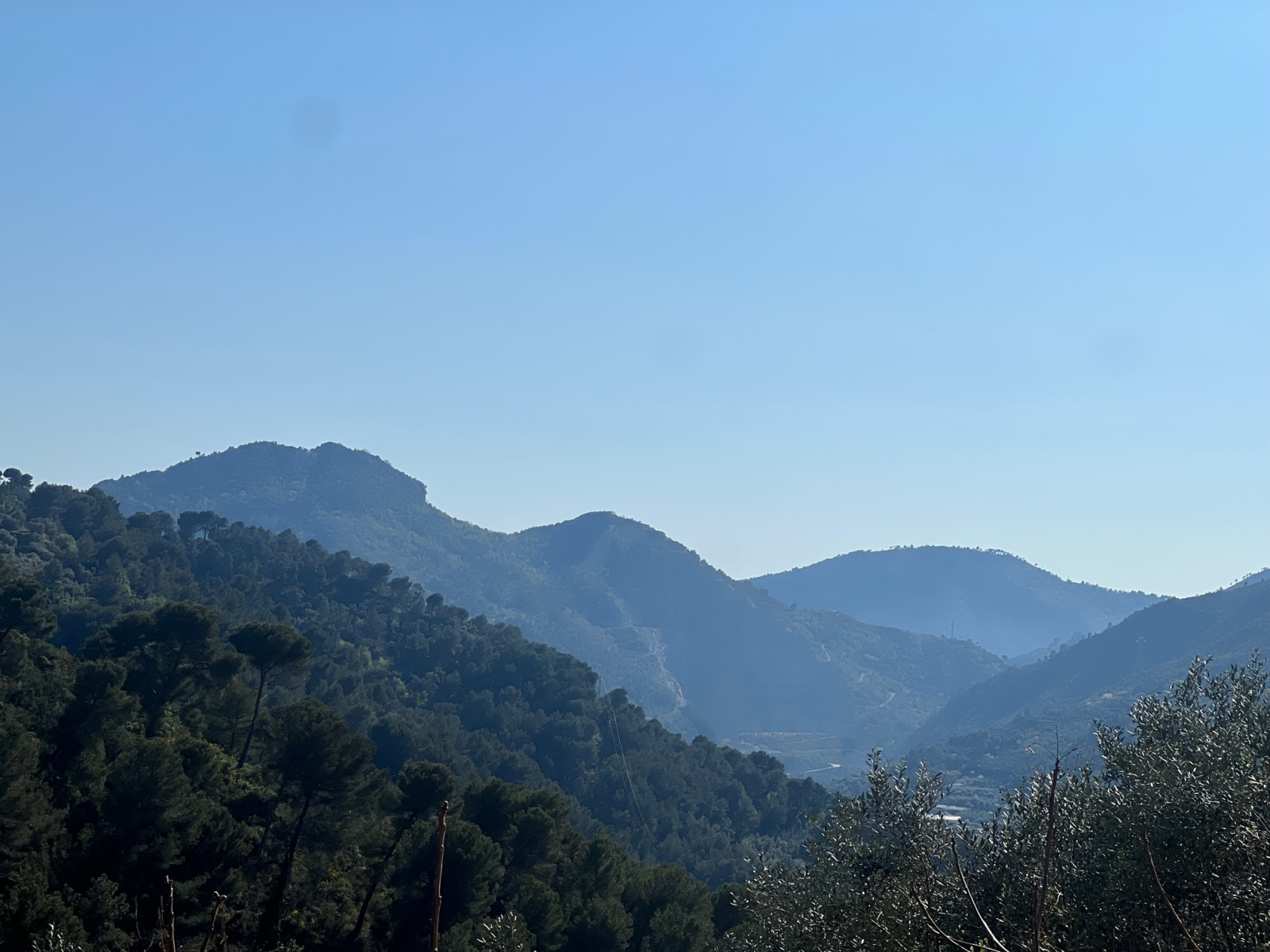 Image_, Villa, Ventimiglia, ref :706