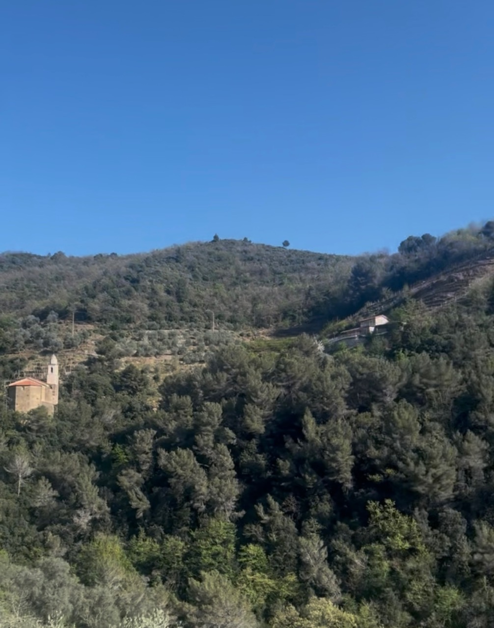 Image_, Villa, Ventimiglia, ref :706