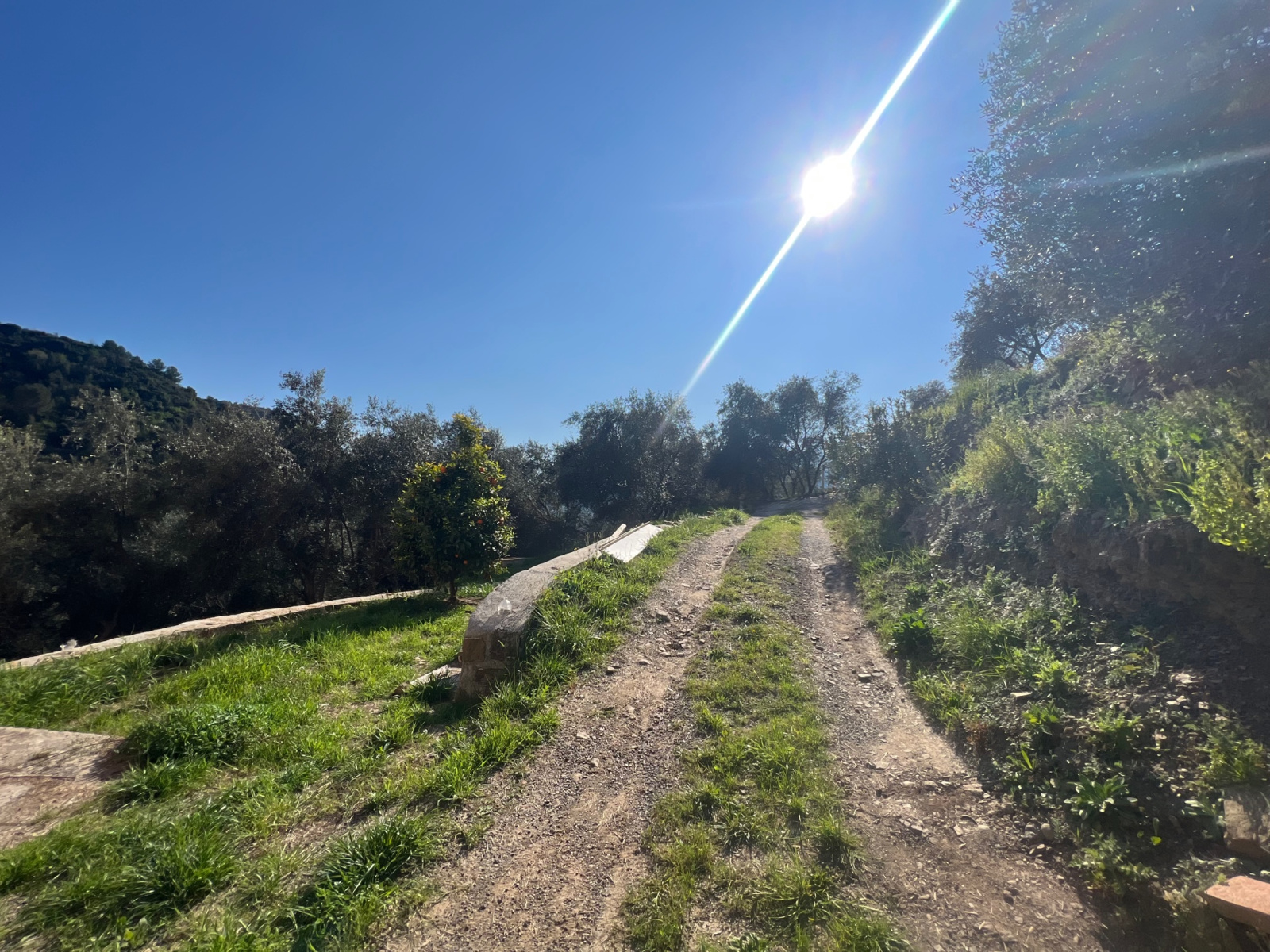 Image_, Villa, Ventimiglia, ref :706