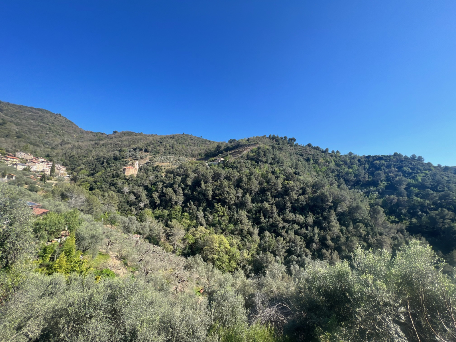 Image_, Villa, Ventimiglia, ref :706