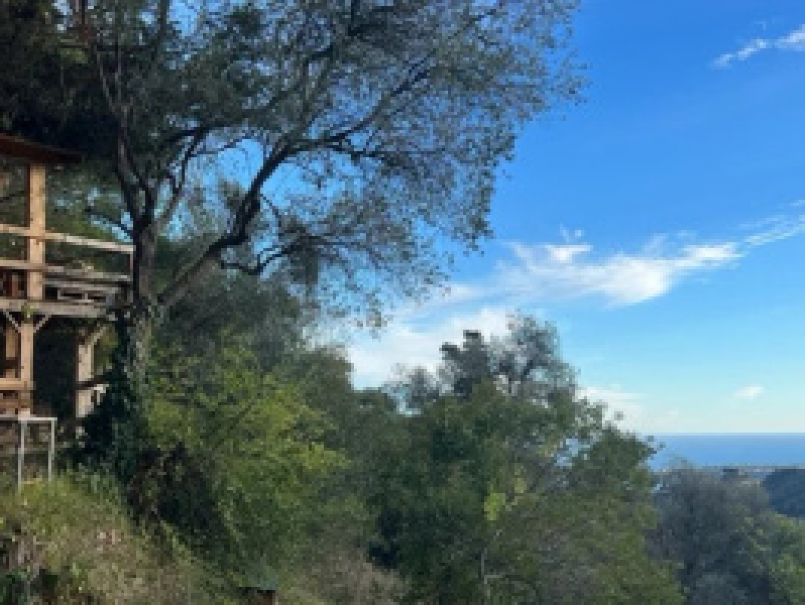 Image_, Villa, Menton, ref :727