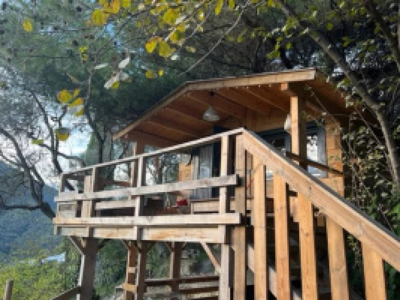 Image_, Villa, Menton, ref :727