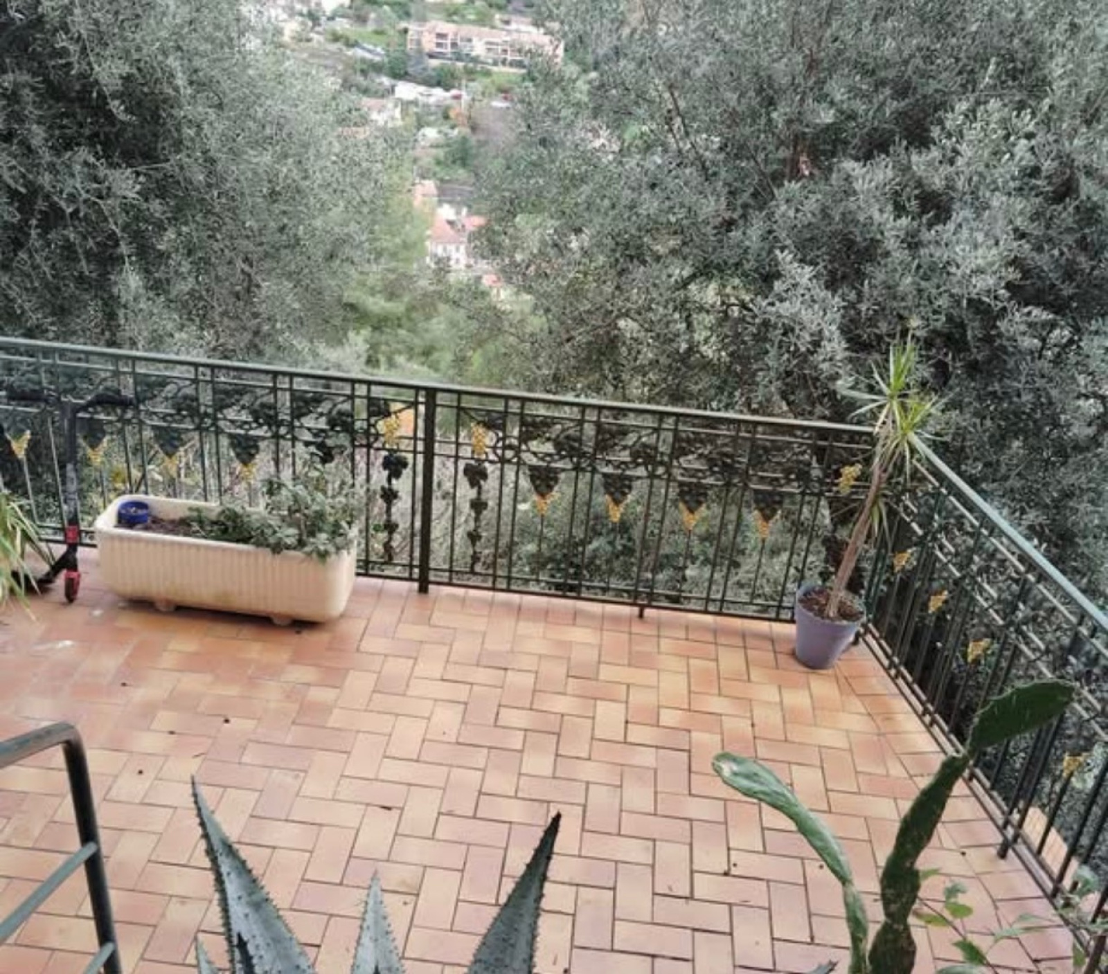 Image_, Appartement, Menton, ref :703